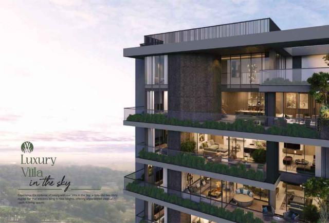 Penthouse View